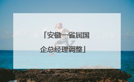 安徽一省属国企总经理调整