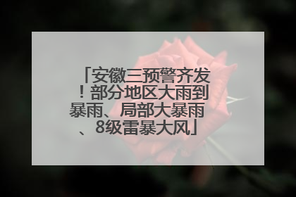 安徽三预警齐发！部分地区大雨到暴雨、局部大暴雨、8级雷暴大风