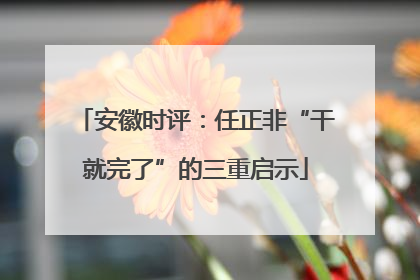 安徽时评：任正非“干就完了”的三重启示