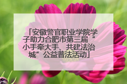 安徽警官职业学院学子助力合肥市第三届“小手牵大手、共建法治城”公益普法活动