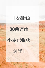 安徽4300余万亩小麦已收获过半