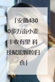 安徽4300多万亩小麦丰收有望 科技赋能颗粒归仓