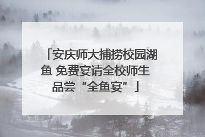 安庆师大捕捞校园湖鱼 免费宴请全校师生品尝“全鱼宴”