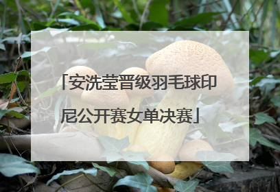 安洗莹晋级羽毛球印尼公开赛女单决赛