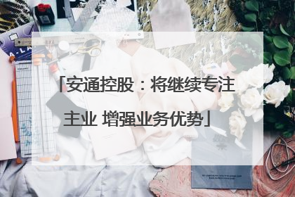 安通控股：将继续专注主业 增强业务优势