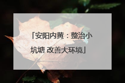 安阳内黄：整治小坑塘 改善大环境