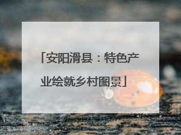 安阳滑县：特色产业绘就乡村图景