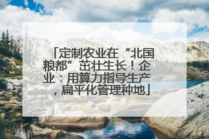 定制农业在“北国粮都”茁壮生长！企业：用算力指导生产，扁平化管理种地