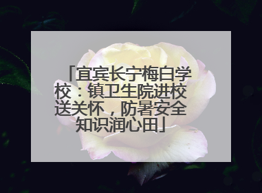 宜宾长宁梅白学校：镇卫生院进校送关怀，防暑安全知识润心田