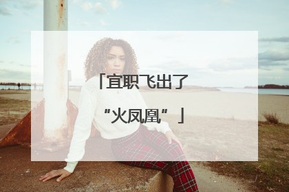 宜职飞出了“火凤凰”