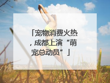宠物消费火热，成都上演“萌宠总动员”