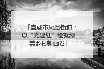 宣威市凤凰街道：以“党建红”绘就绿美乡村新画卷