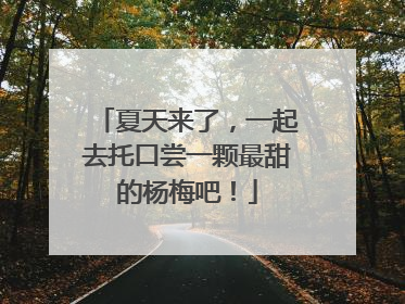 夏天来了，一起去托口尝一颗最甜的杨梅吧！