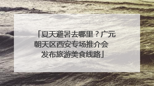 夏天避暑去哪里？广元朝天区西安专场推介会 发布旅游美食线路
