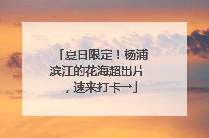 夏日限定！杨浦滨江的花海超出片，速来打卡→
