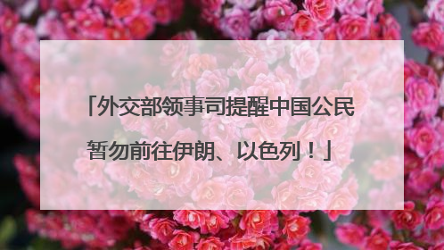 外交部领事司提醒中国公民暂勿前往伊朗、以色列！