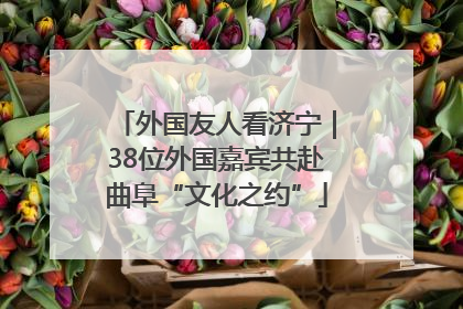 外国友人看济宁｜38位外国嘉宾共赴曲阜“文化之约”