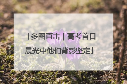 多图直击｜高考首日 晨光中他们背影坚定