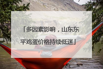多因素影响，山东东平鸡蛋价格持续低迷