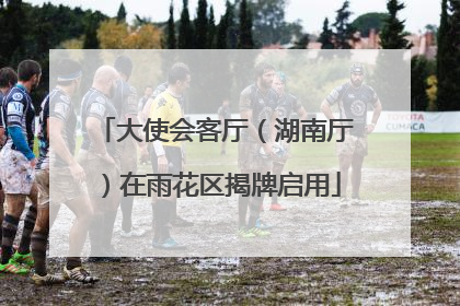 大使会客厅（湖南厅）在雨花区揭牌启用