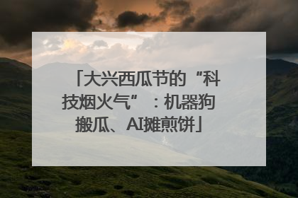 大兴西瓜节的“科技烟火气”：机器狗搬瓜、AI摊煎饼