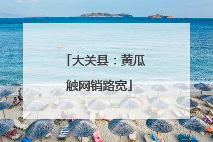 大关县：黄瓜触网销路宽