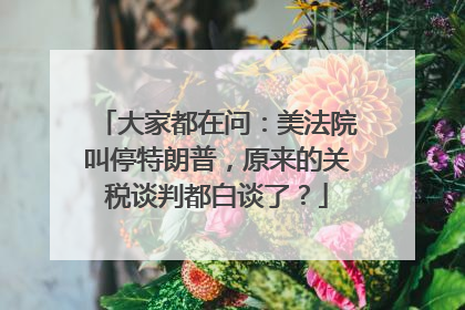 大家都在问：美法院叫停特朗普，原来的关税谈判都白谈了？