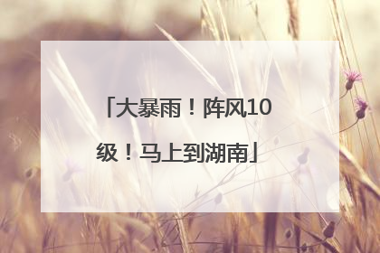 大暴雨！阵风10级！马上到湖南