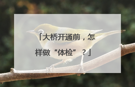 大桥开通前，怎样做“体检”？