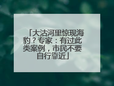 大沽河里惊现海豹？专家：有过此类案例，市民不要自行靠近