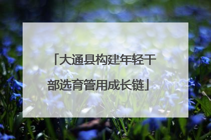 大通县构建年轻干部选育管用成长链