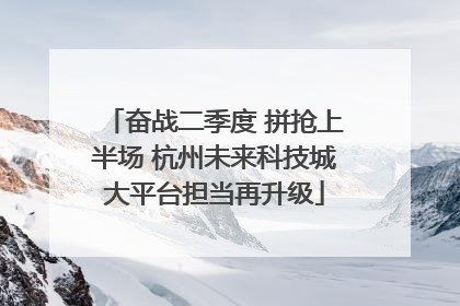 奋战二季度 拼抢上半场 杭州未来科技城大平台担当再升级