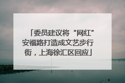 委员建议将“网红”安福路打造成文艺步行街，上海徐汇区回应
