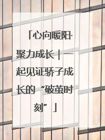心向暖阳·聚力成长｜一起见证骄子成长的“破茧时刻”