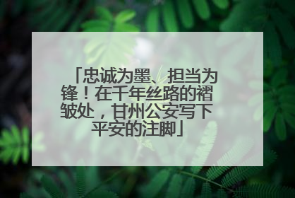 忠诚为墨、担当为锋！在千年丝路的褶皱处，甘州公安写下平安的注脚
