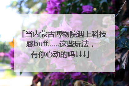 当内蒙古博物院遇上科技感buff……这些玩法，有你心动的吗↓↓↓