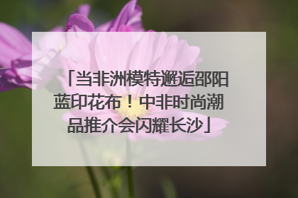 当非洲模特邂逅邵阳蓝印花布！中非时尚潮品推介会闪耀长沙