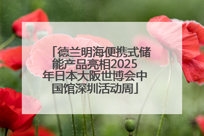德兰明海便携式储能产品亮相2025年日本大阪世博会中国馆深圳活动周