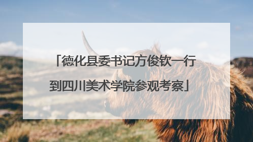 德化县委书记方俊钦一行到四川美术学院参观考察