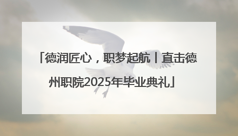 德润匠心，职梦起航丨直击德州职院2025年毕业典礼
