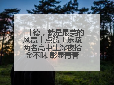 德，就是最美的风景丨点赞！乐陵两名高中生深夜拾金不昧 彰显青春正能量