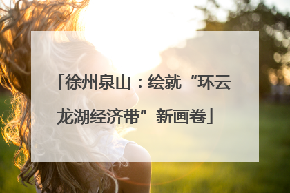 徐州泉山：绘就“环云龙湖经济带”新画卷