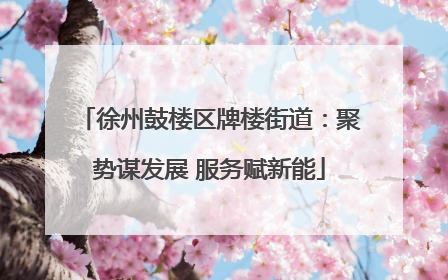 徐州鼓楼区牌楼街道：聚势谋发展 服务赋新能