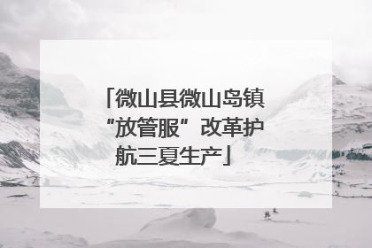 微山县微山岛镇“放管服”改革护航三夏生产
