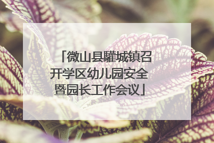 微山县驩城镇召开学区幼儿园安全暨园长工作会议