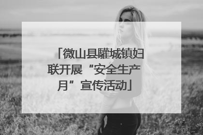 微山县驩城镇妇联开展“安全生产月”宣传活动