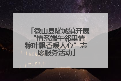 微山县驩城镇开展“情系端午邻里情 粽叶飘香暖人心”志愿服务活动