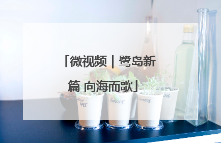 微视频｜鹭岛新篇 向海而歌