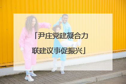 尹庄党建凝合力 联建议事促振兴