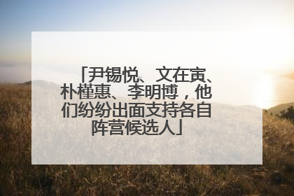 尹锡悦、文在寅、朴槿惠、李明博，他们纷纷出面支持各自阵营候选人